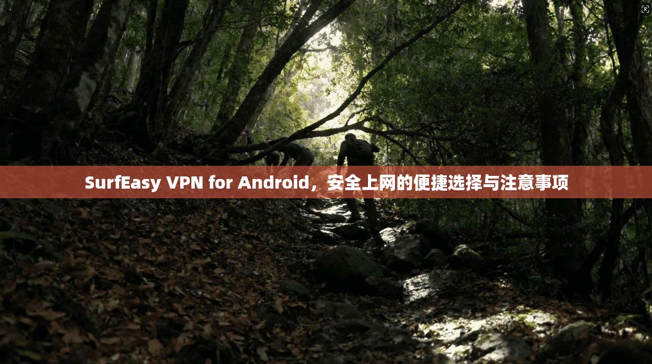 SurfEasy VPN for Android，安全上网的便捷选择与注意事项