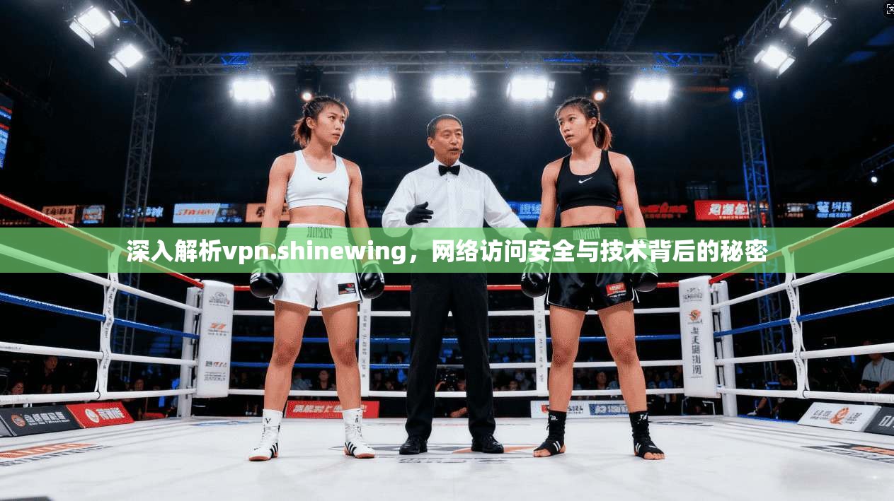 深入解析vpn.shinewing，网络访问安全与技术背后的秘密