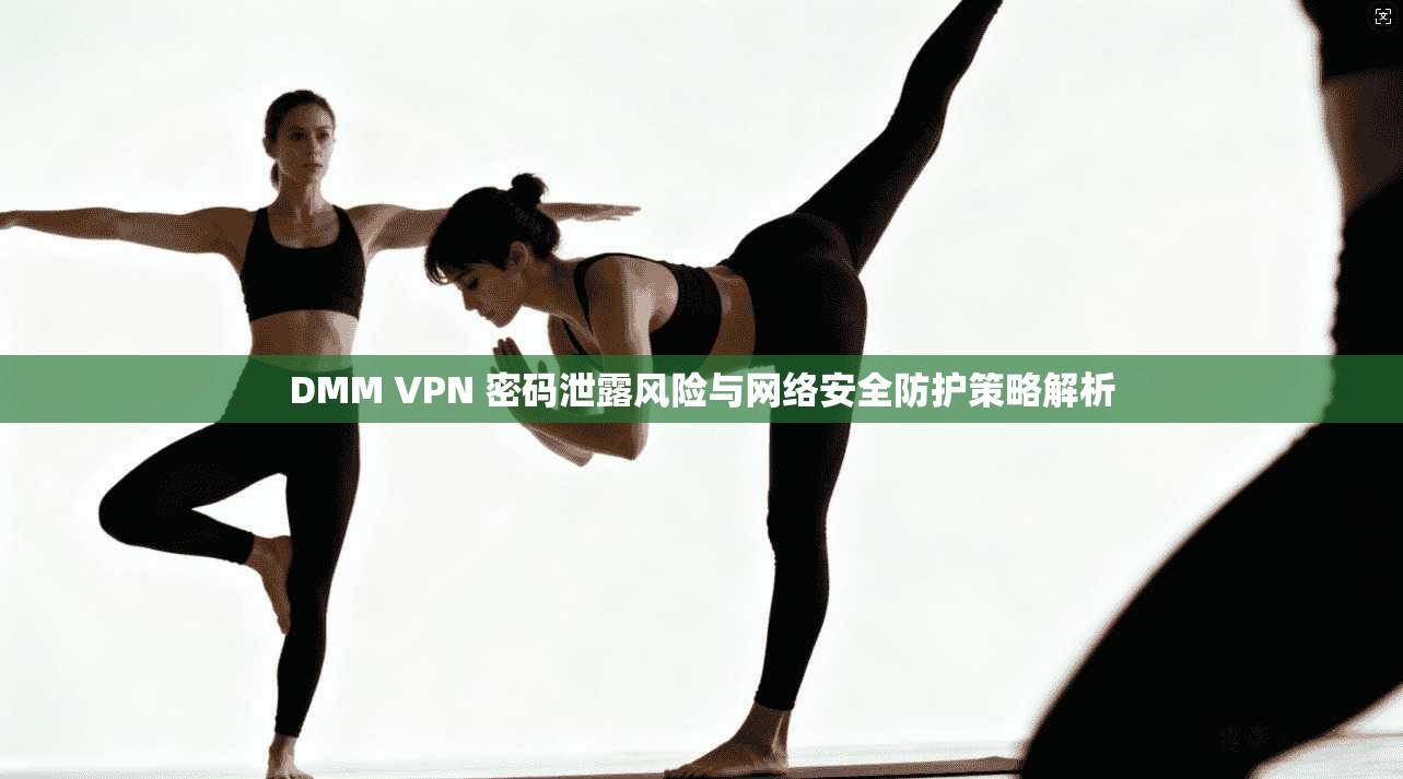 DMM VPN 密码泄露风险与网络安全防护策略解析