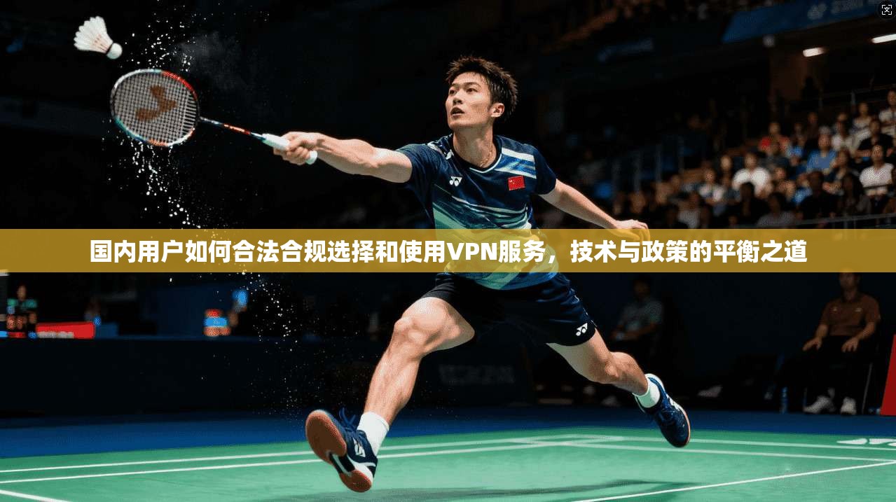 国内用户如何合法合规选择和使用VPN服务，技术与政策的平衡之道
