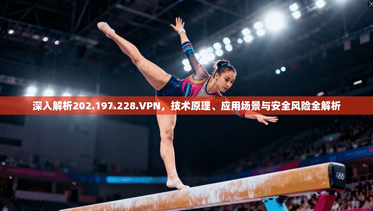 深入解析202.197.228.VPN,技术原理、应用场景与安全风险全解析