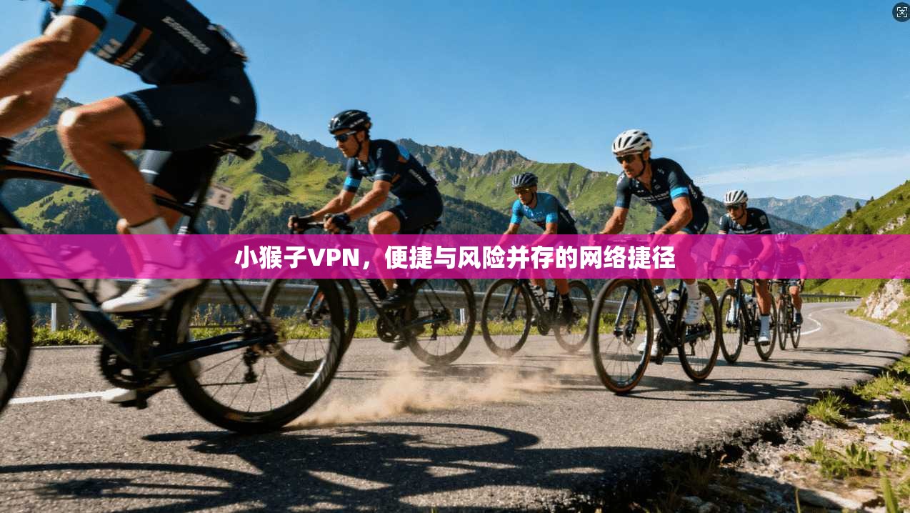 小猴子VPN,便捷与风险并存的网络捷径