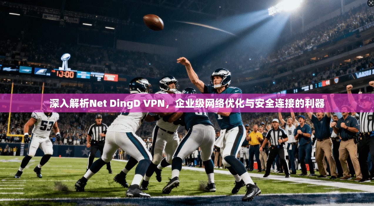 深入解析Net DingD VPN，企业级网络优化与安全连接的利器