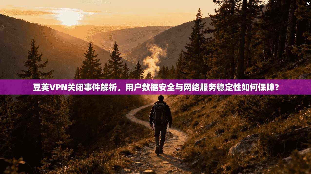 豆荚VPN关闭事件解析,用户数据安全与网络服务稳定性如何保障?