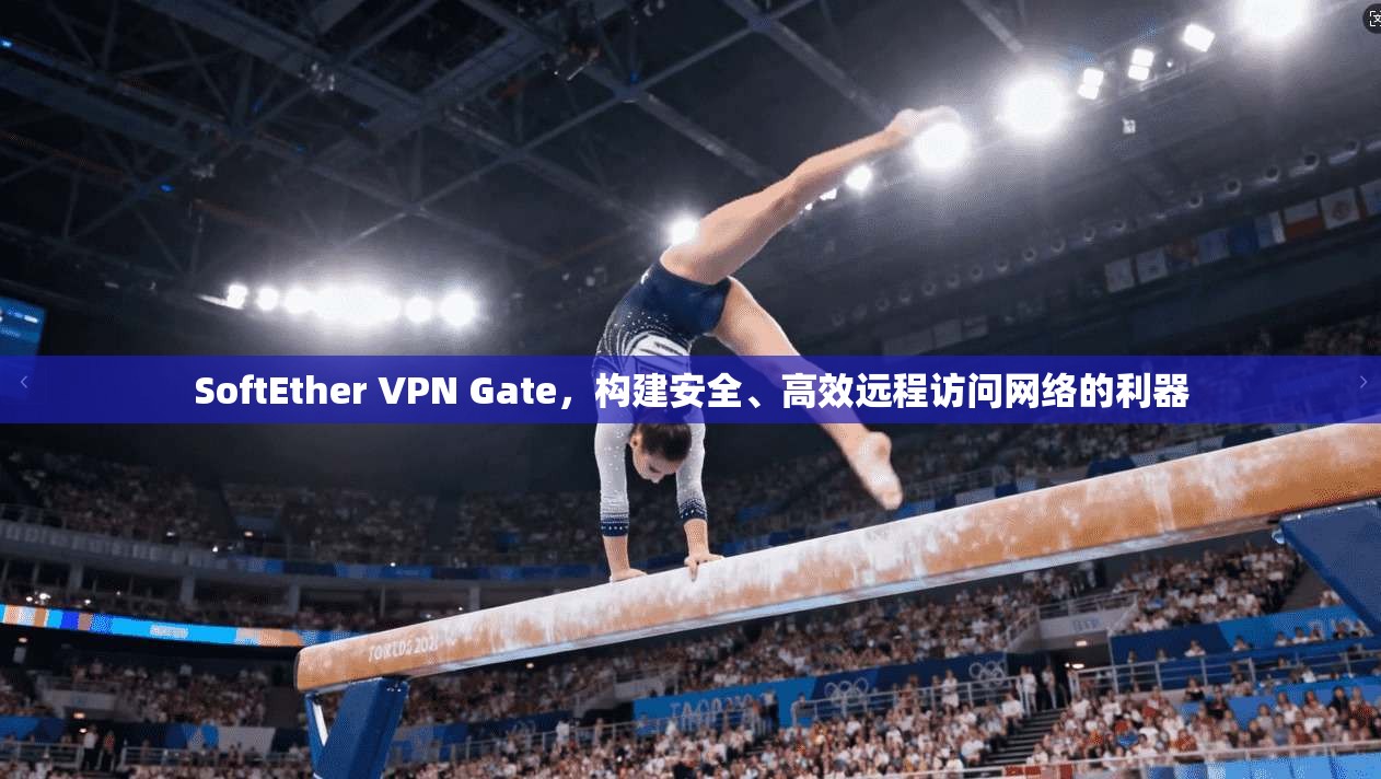 SoftEther VPN Gate,构建安全、高效远程访问网络的利器 SoftEther VPN Gate,构建安全、高效远程访问网络的利器