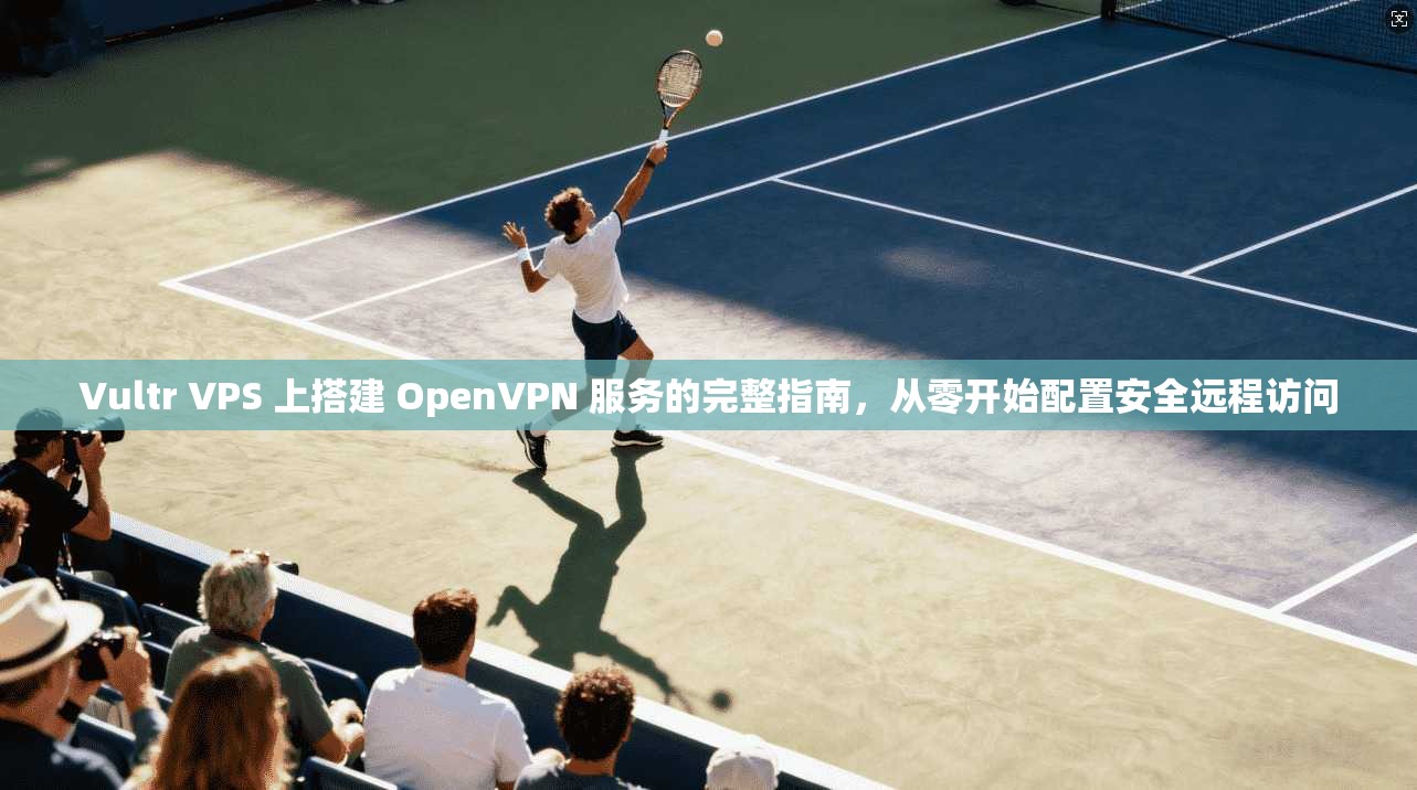 Vultr VPS 上搭建 OpenVPN 服务的完整指南,从零开始配置安全远程访问