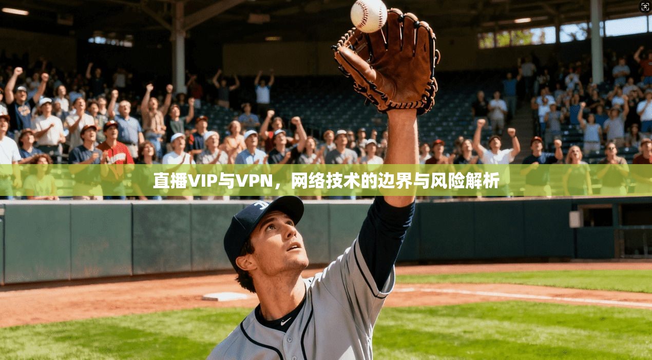 直播VIP与VPN，网络技术的边界与风险解析