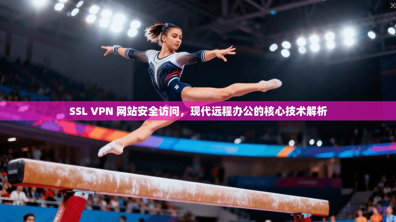 SSL VPN 网站安全访问，现代远程办公的核心技术解析