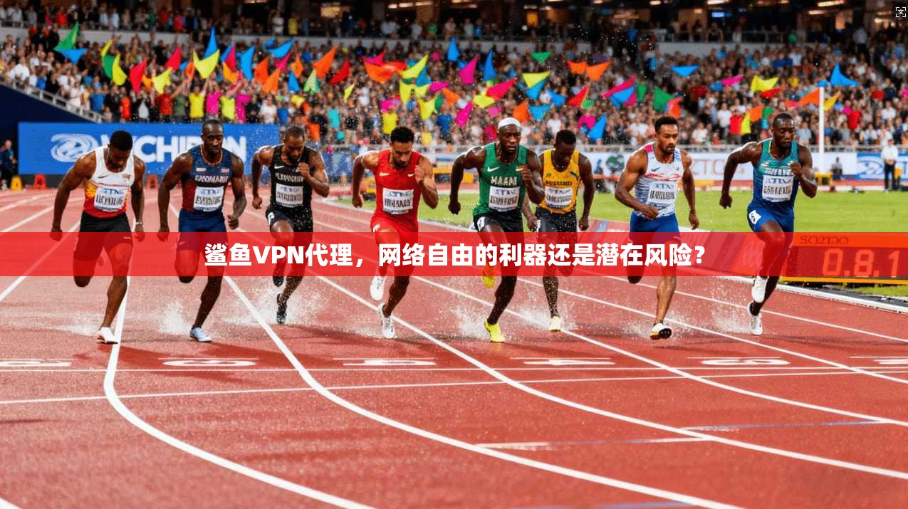 鲨鱼VPN代理，网络自由的利器还是潜在风险？