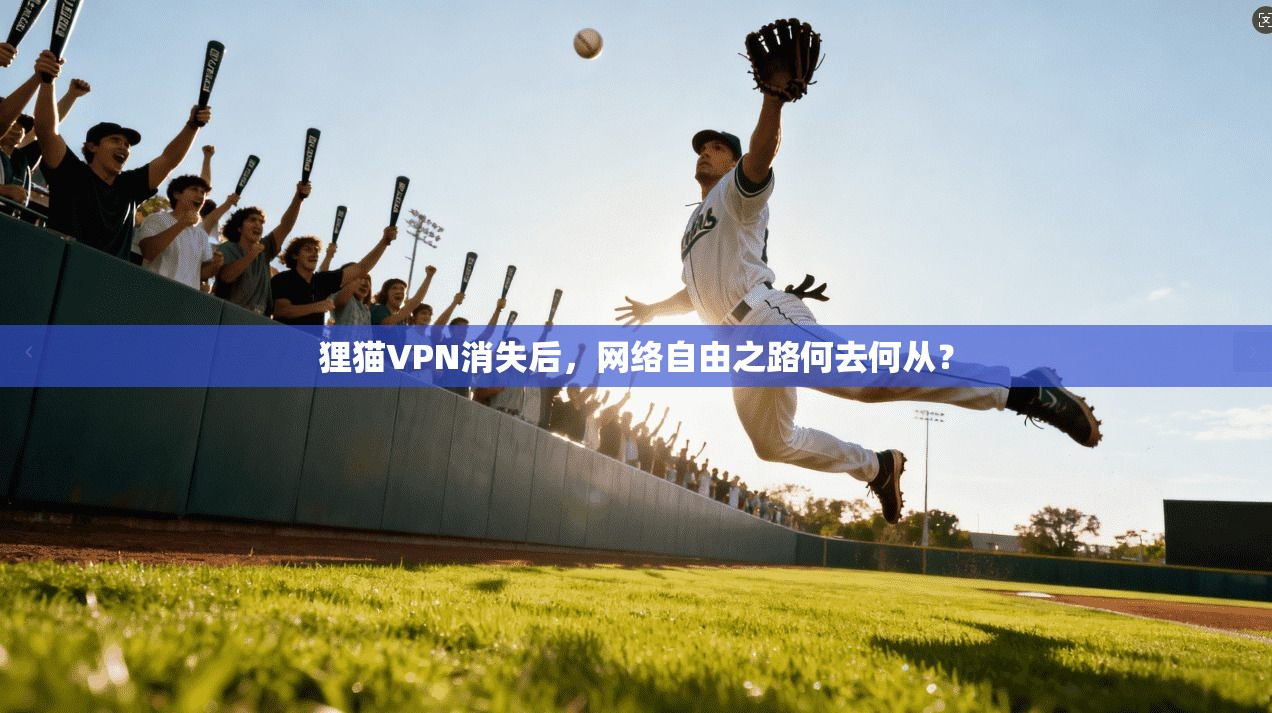 狸猫VPN消失后，网络自由之路何去何从？