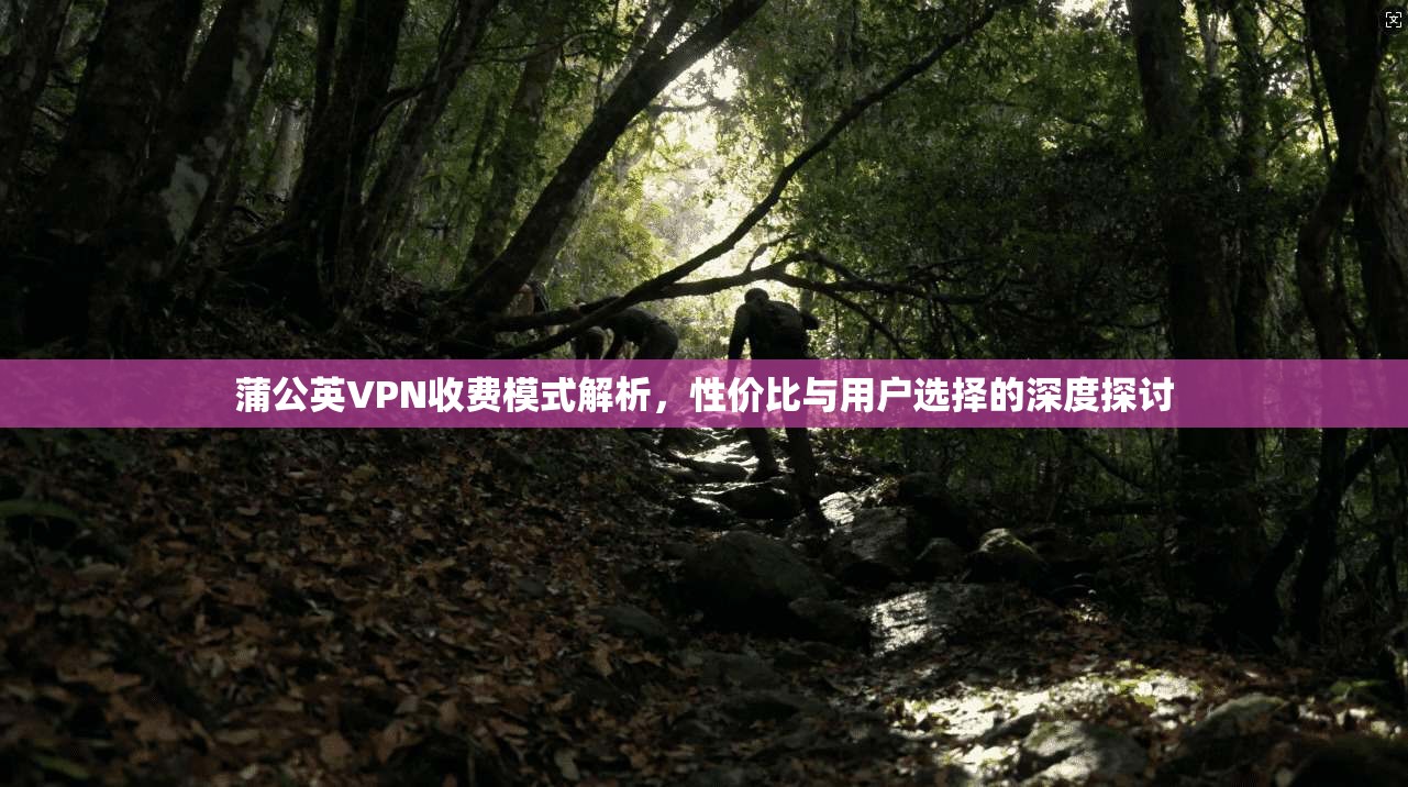 蒲公英VPN收费模式解析，性价比与用户选择的深度探讨