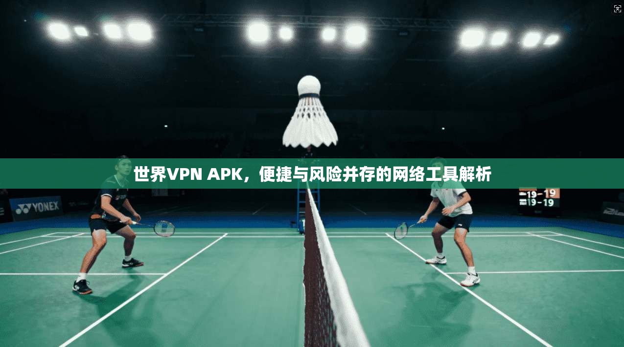 世界VPN APK，便捷与风险并存的网络工具解析