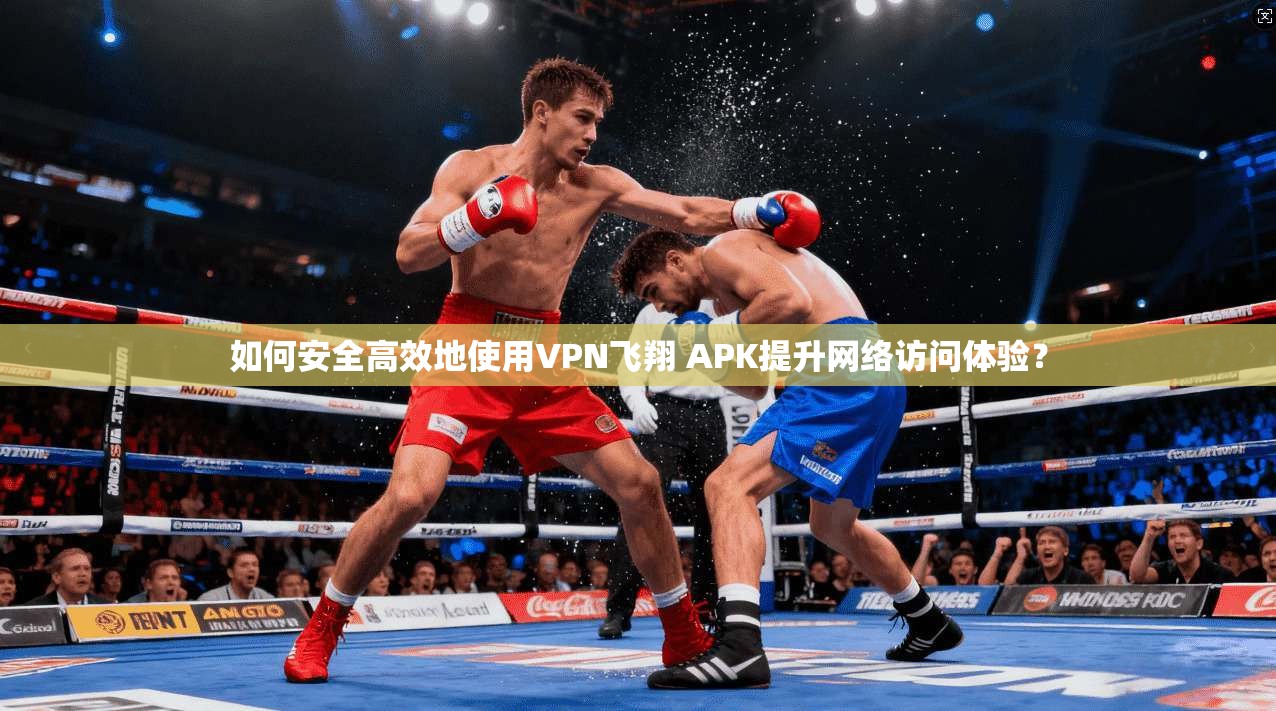 如何安全高效地使用VPN飞翔 APK提升网络访问体验？