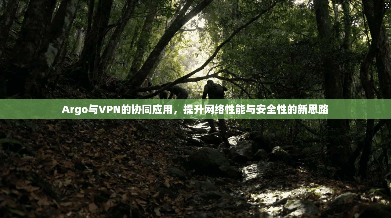Argo与VPN的协同应用，提升网络性能与安全性的新思路