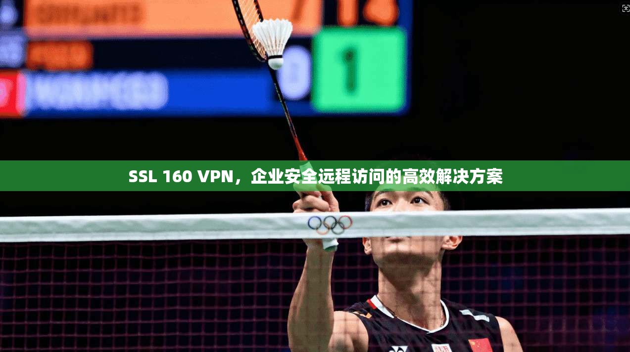 SSL 160 VPN，企业安全远程访问的高效解决方案