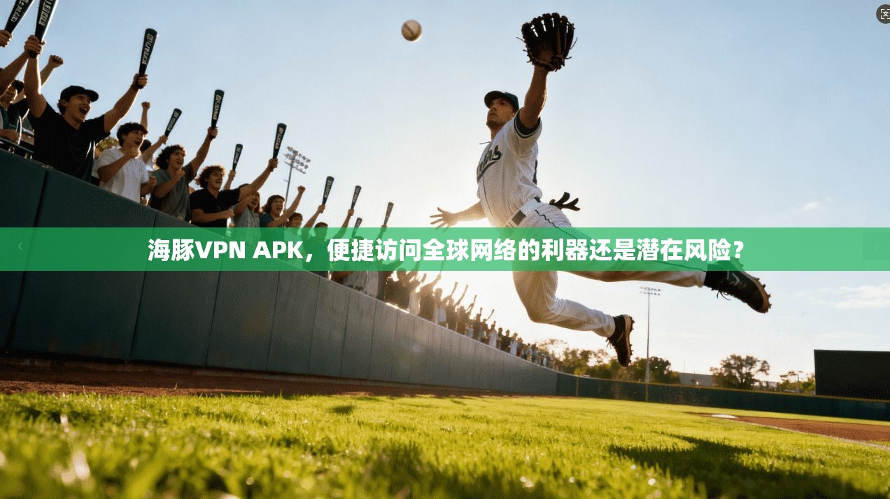 海豚VPN APK，便捷访问全球网络的利器还是潜在风险？