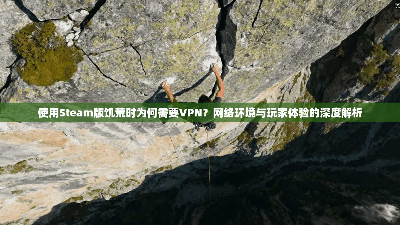 使用Steam版饥荒时为何需要VPN?网络环境与玩家体验的深度解析