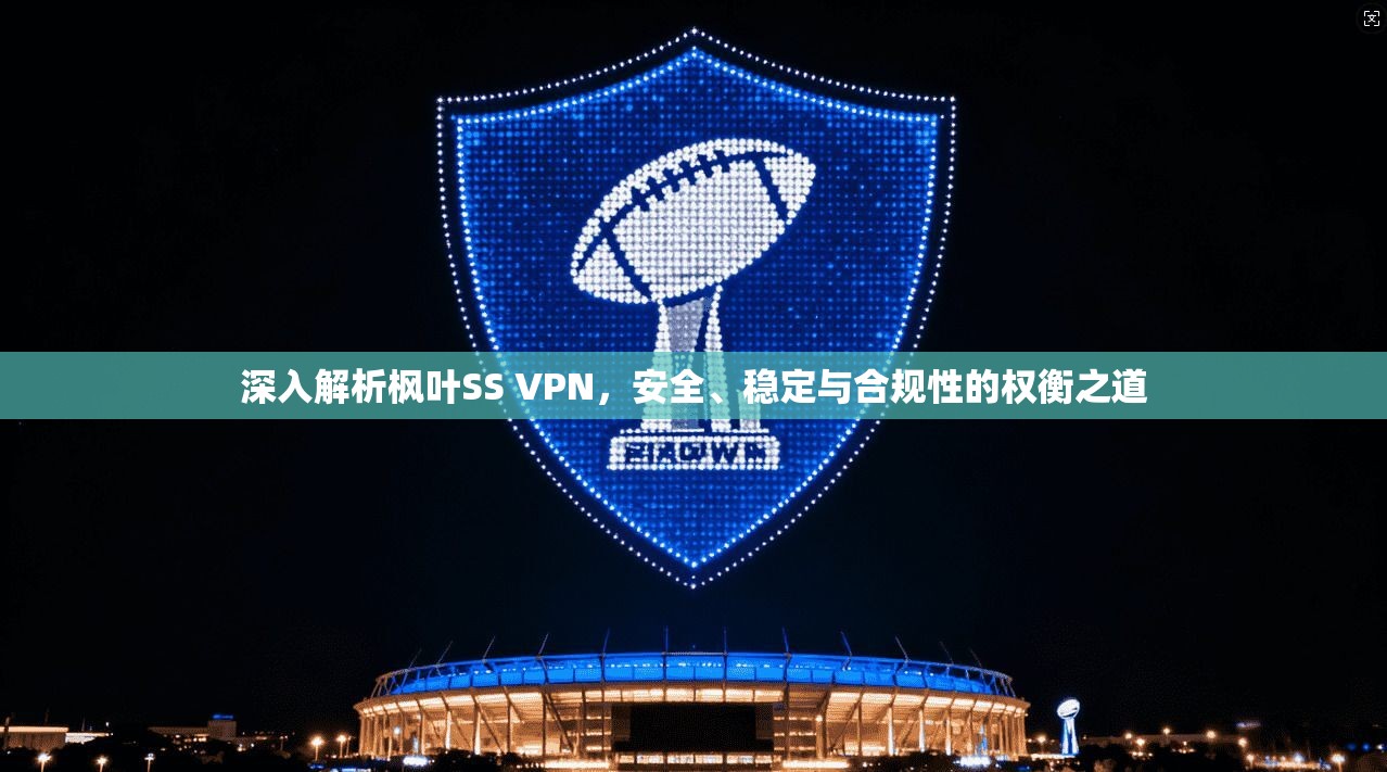 深入解析枫叶SS VPN，安全、稳定与合规性的权衡之道