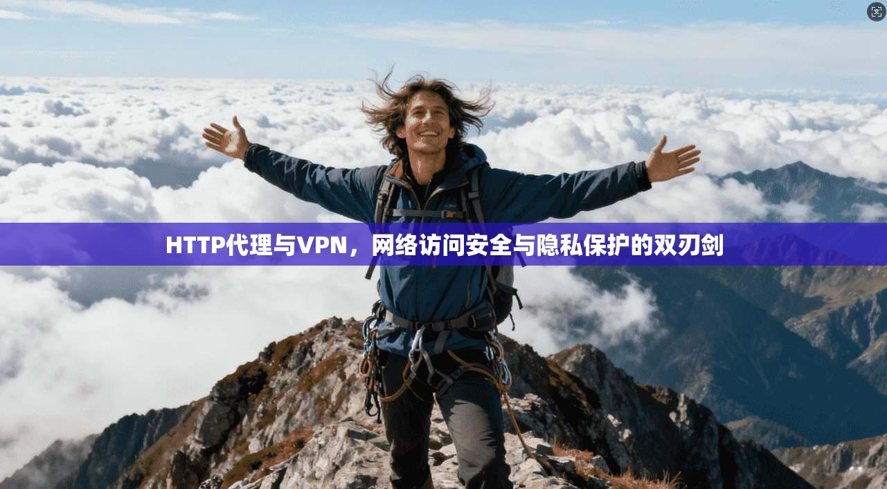 HTTP代理与VPN，网络访问安全与隐私保护的双刃剑