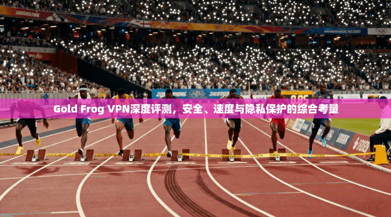 Gold Frog VPN深度评测，安全、速度与隐私保护的综合考量