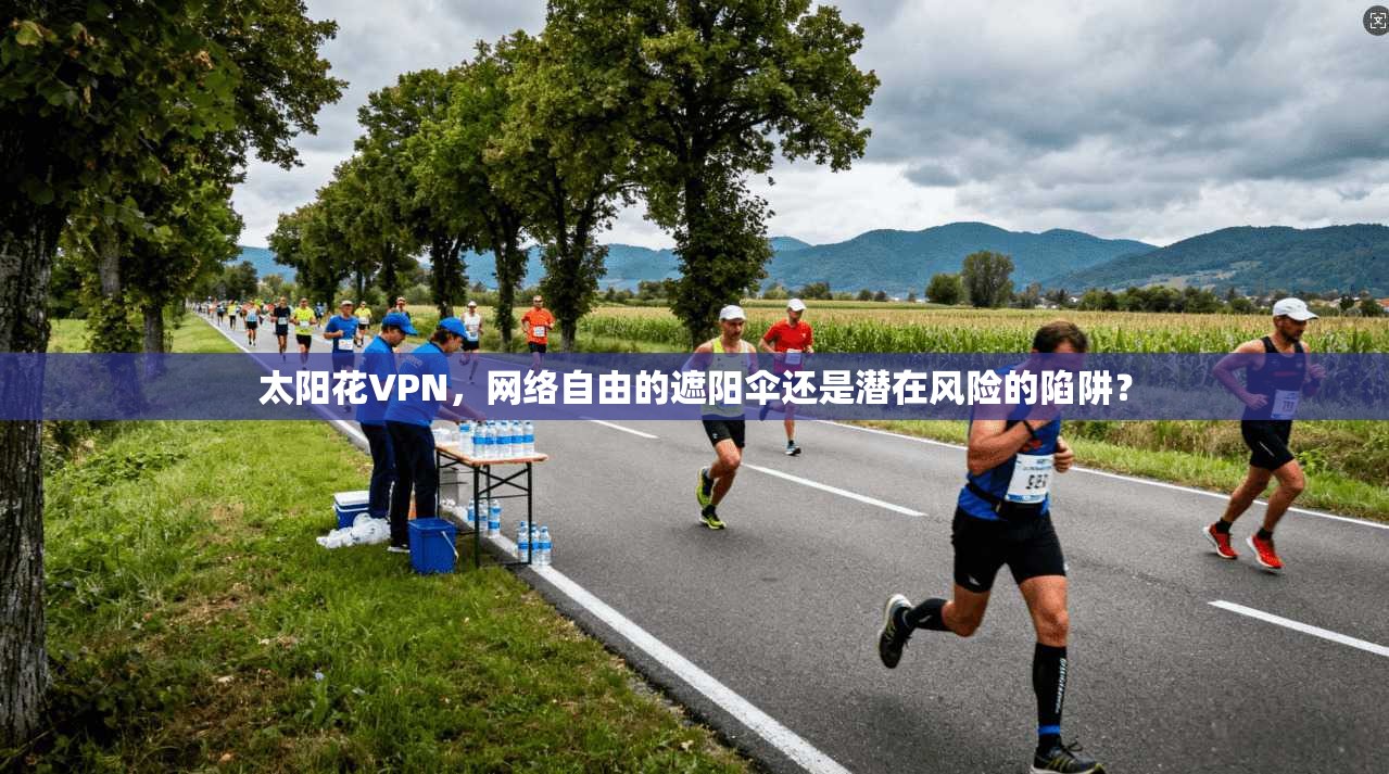 太阳花VPN，网络自由的遮阳伞还是潜在风险的陷阱？