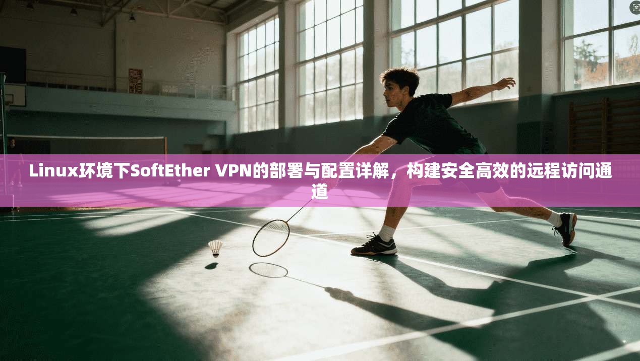 Linux环境下SoftEther VPN的部署与配置详解，构建安全高效的远程访问通道