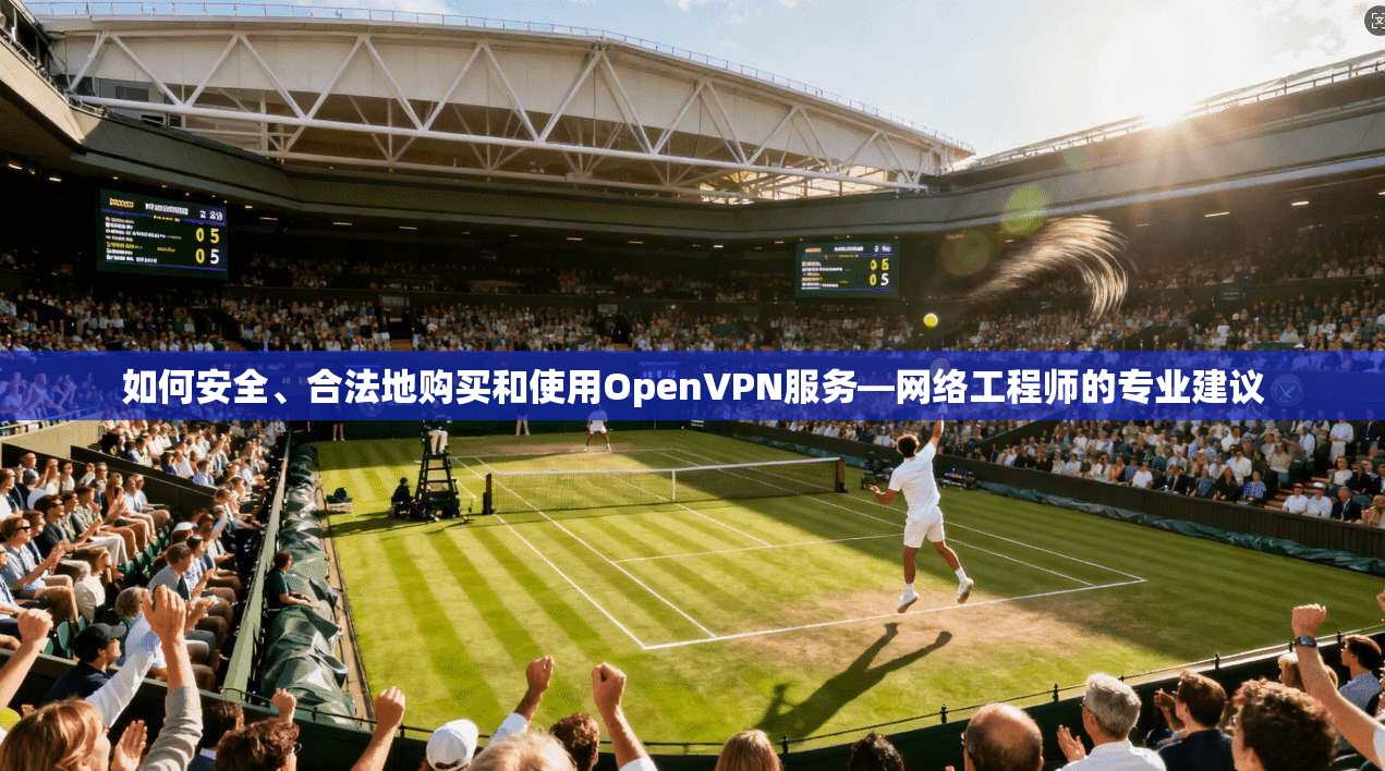 如何安全、合法地购买和使用OpenVPN服务—网络工程师的专业建议