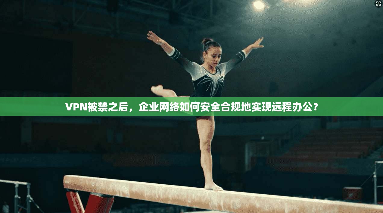 VPN被禁之后,企业网络如何安全合规地实现远程办公?