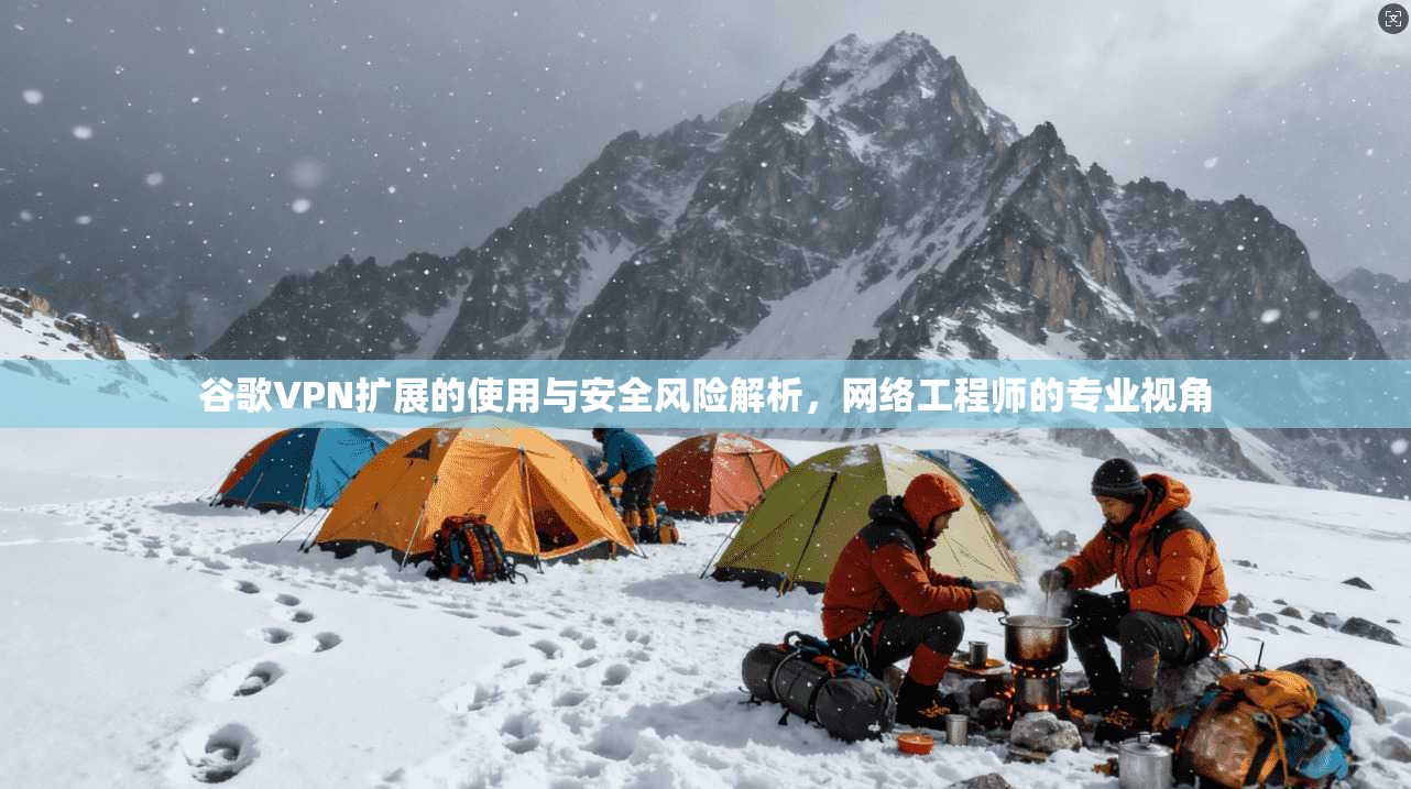 谷歌VPN扩展的使用与安全风险解析，网络工程师的专业视角