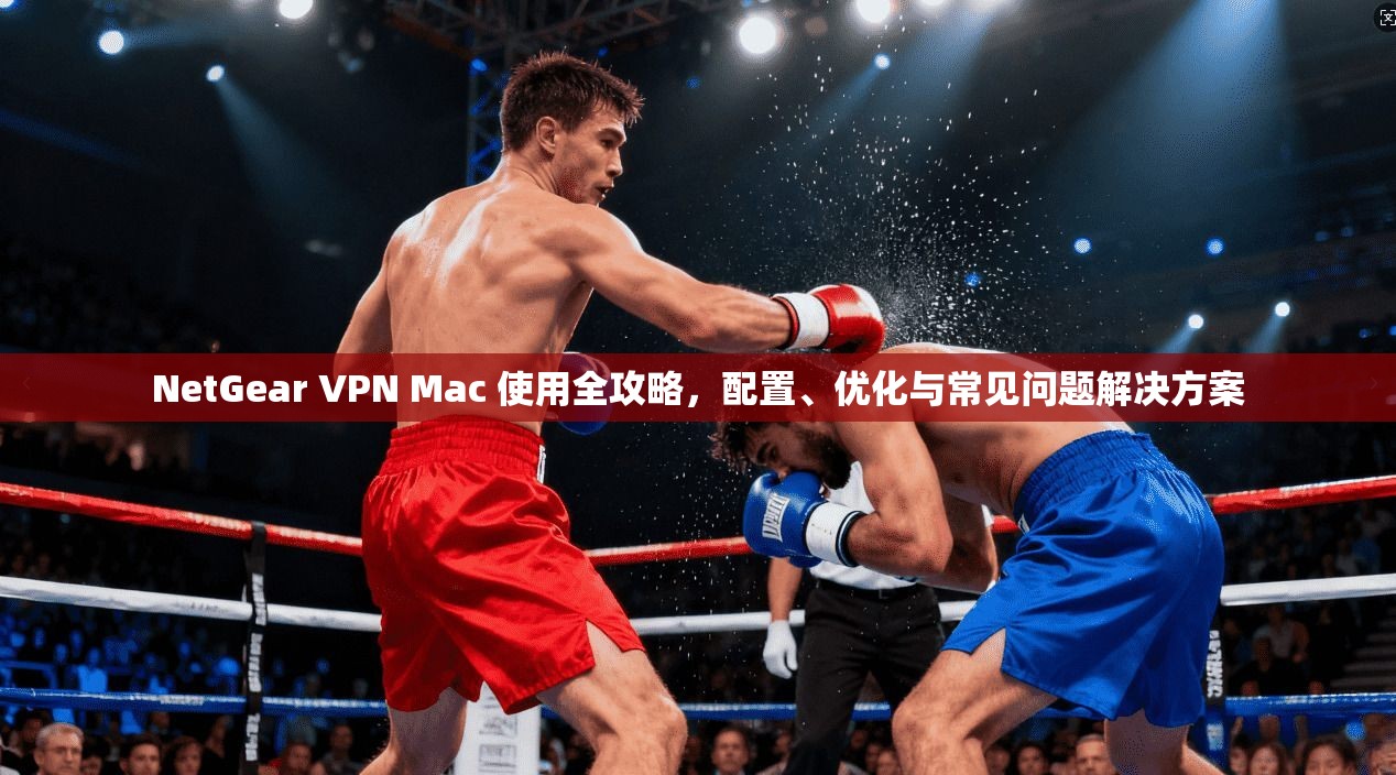 NetGear VPN Mac 使用全攻略，配置、优化与常见问题解决方案