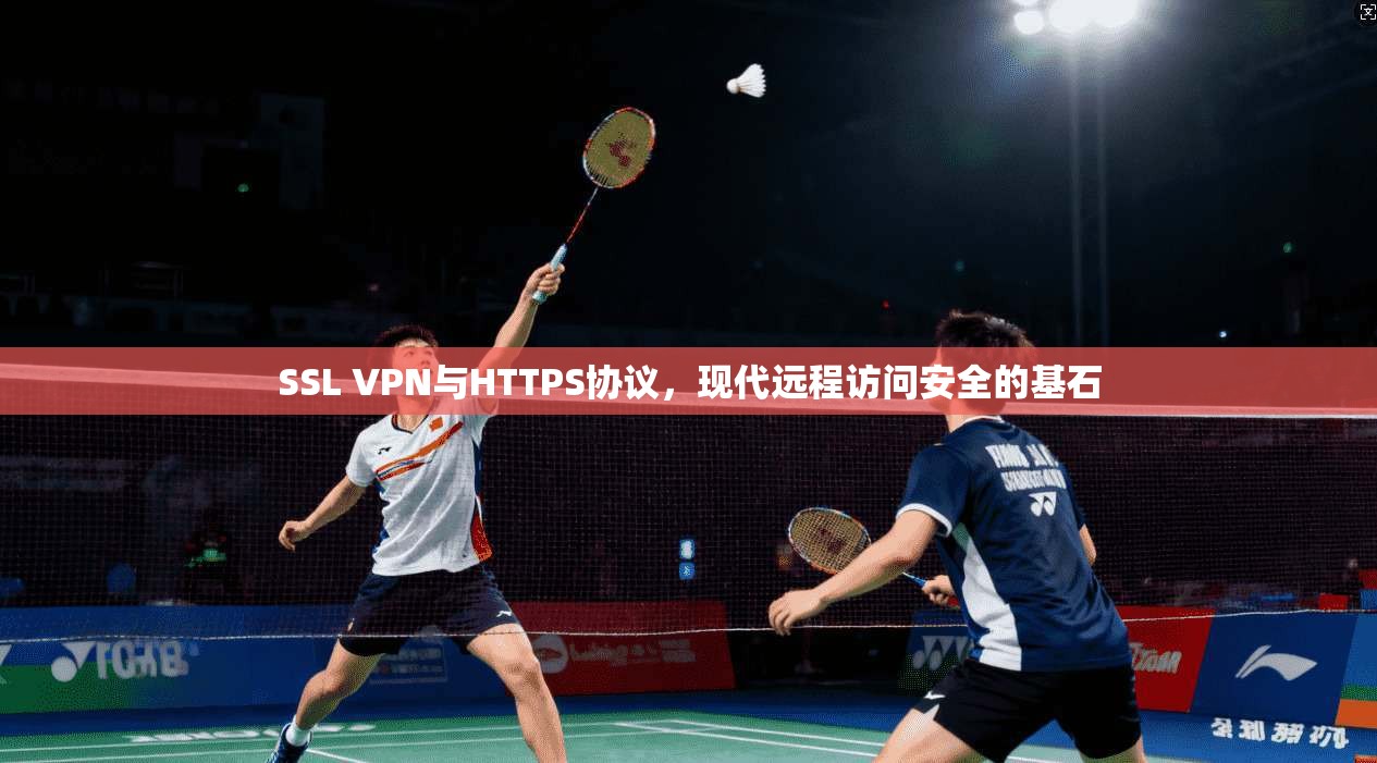 SSL VPN与HTTPS协议，现代远程访问安全的基石