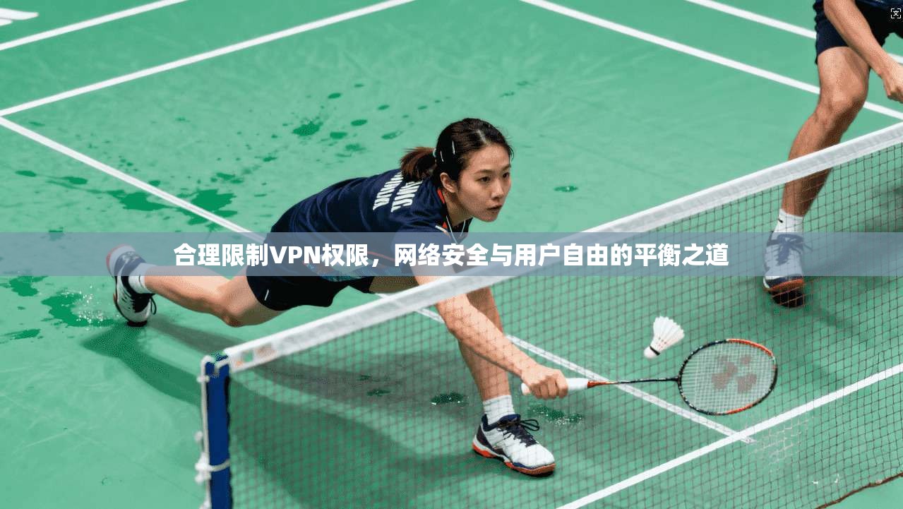 合理限制VPN权限，网络安全与用户自由的平衡之道