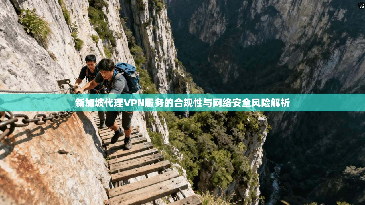 新加坡代理VPN服务的合规性与网络安全风险解析