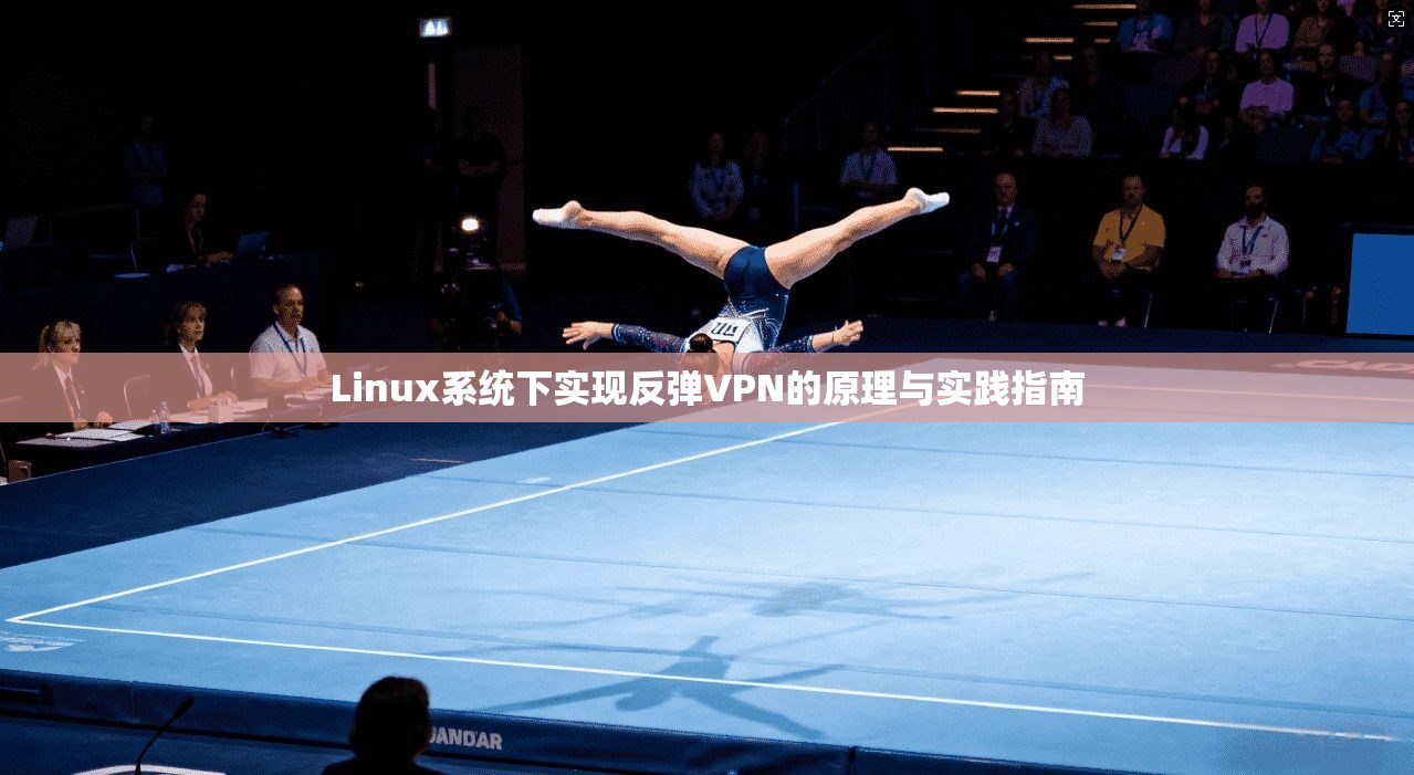 Linux系统下实现反弹VPN的原理与实践指南 Linux系统下实现反弹VPN的原理与实践指南