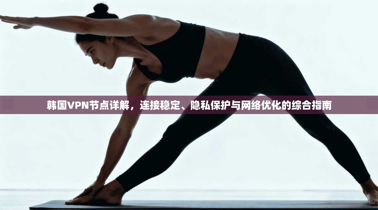 韩国VPN节点详解，连接稳定、隐私保护与网络优化的综合指南