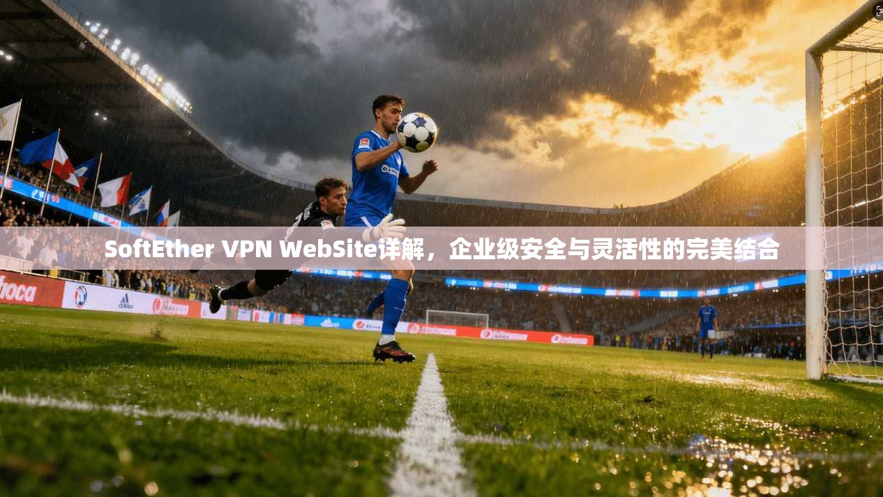 SoftEther VPN WebSite详解，企业级安全与灵活性的完美结合