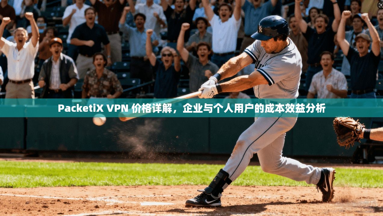 PacketiX VPN 价格详解，企业与个人用户的成本效益分析