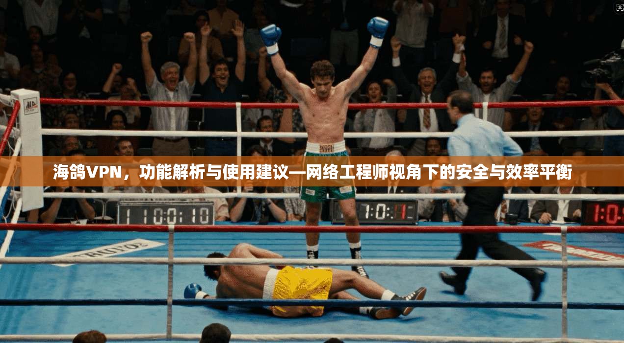 海鸽VPN，功能解析与使用建议—网络工程师视角下的安全与效率平衡