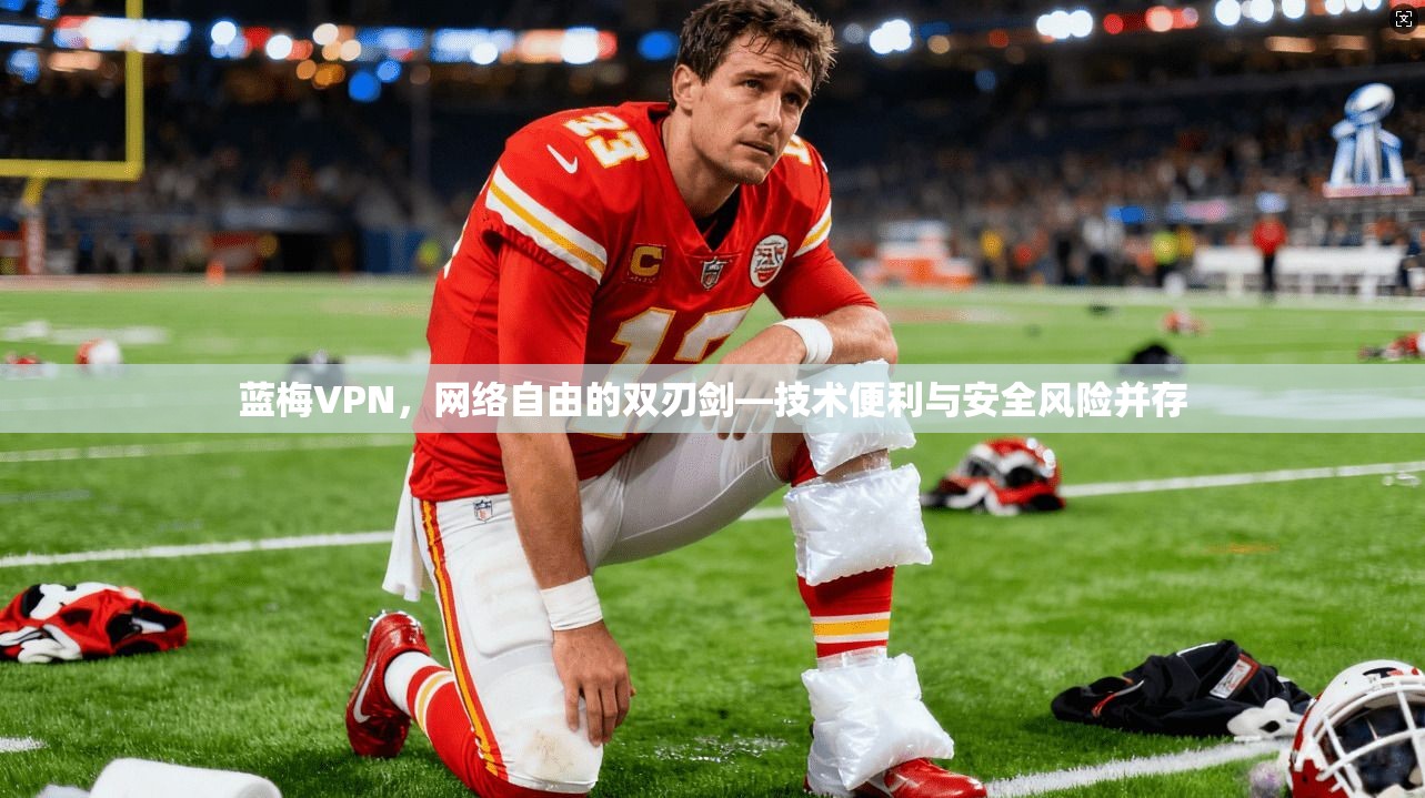 蓝梅VPN，网络自由的双刃剑—技术便利与安全风险并存