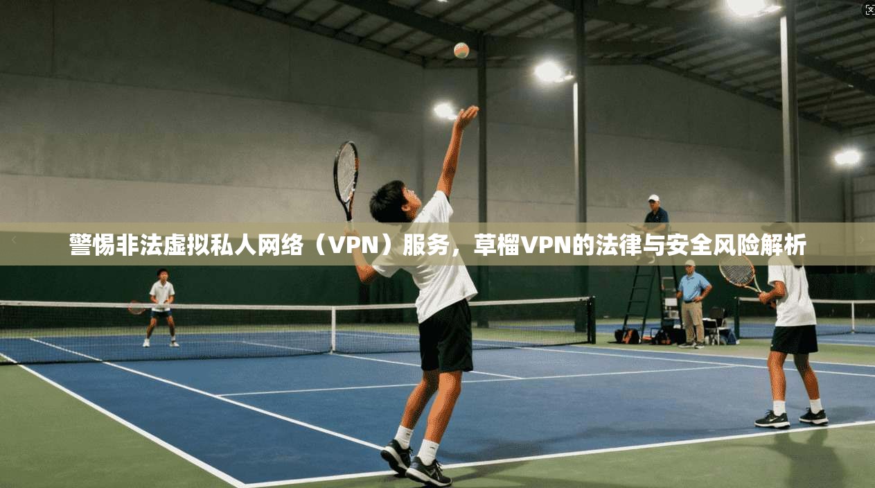 警惕非法虚拟私人网络（VPN）服务，草榴VPN的法律与安全风险解析