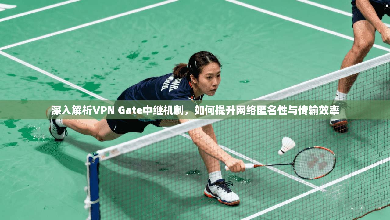 深入解析VPN Gate中继机制，如何提升网络匿名性与传输效率