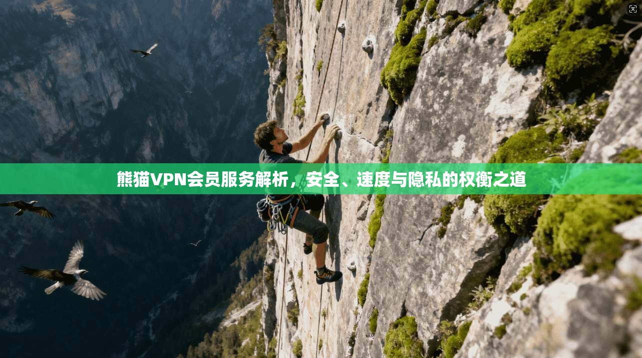 熊猫VPN会员服务解析，安全、速度与隐私的权衡之道