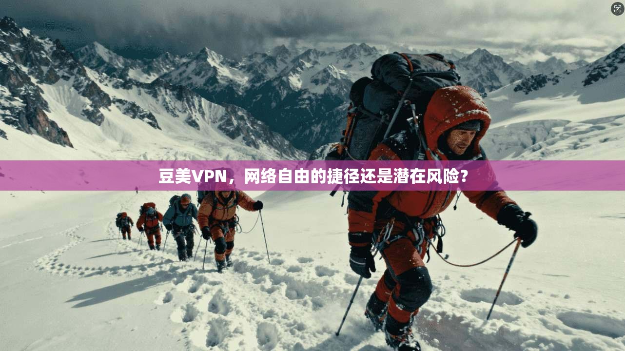 豆美VPN，网络自由的捷径还是潜在风险？