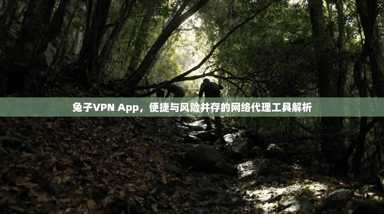 兔子VPN App，便捷与风险并存的网络代理工具解析