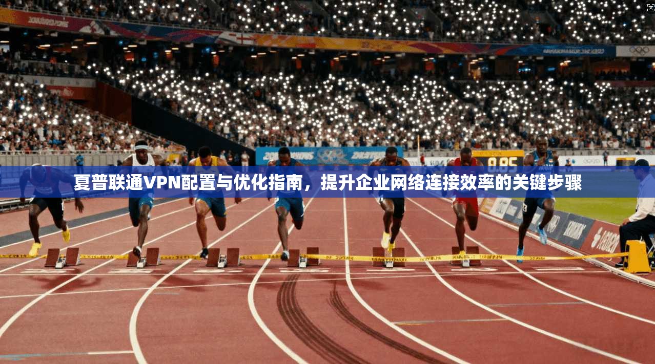 夏普联通VPN配置与优化指南，提升企业网络连接效率的关键步骤