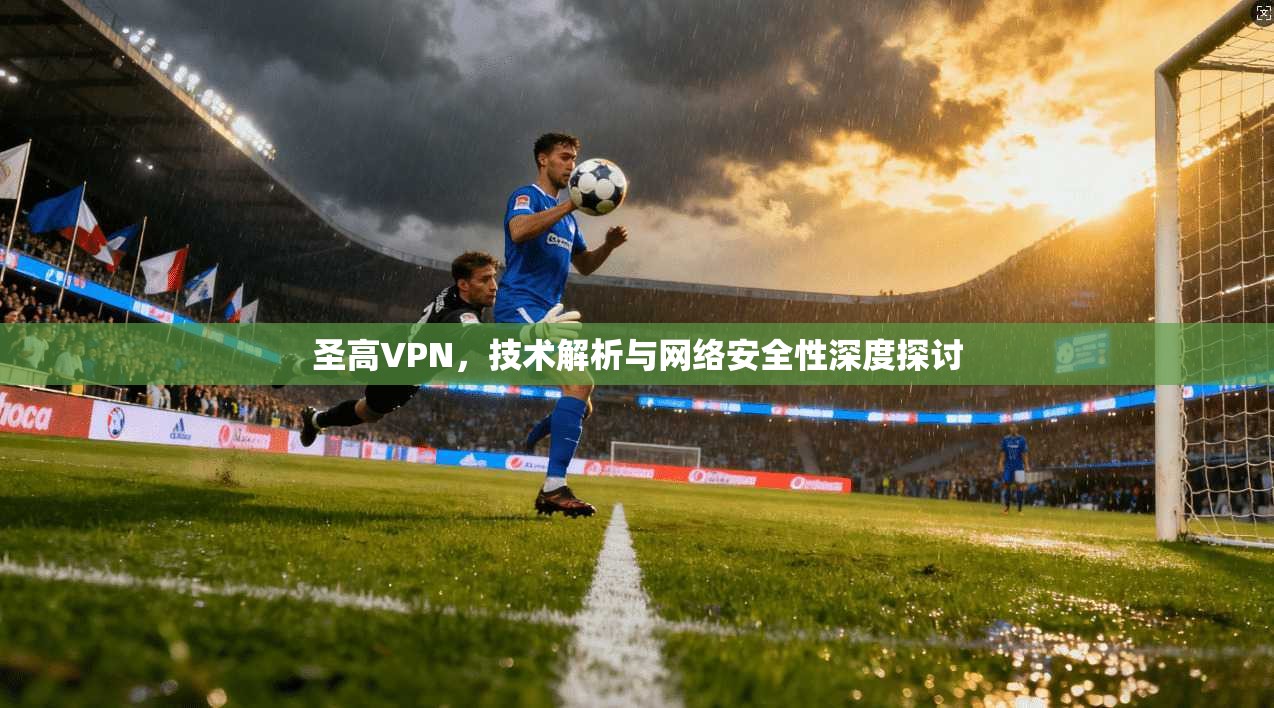 圣高VPN，技术解析与网络安全性深度探讨