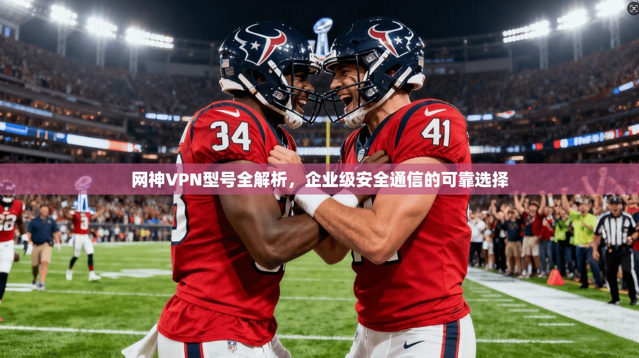 网神VPN型号全解析，企业级安全通信的可靠选择