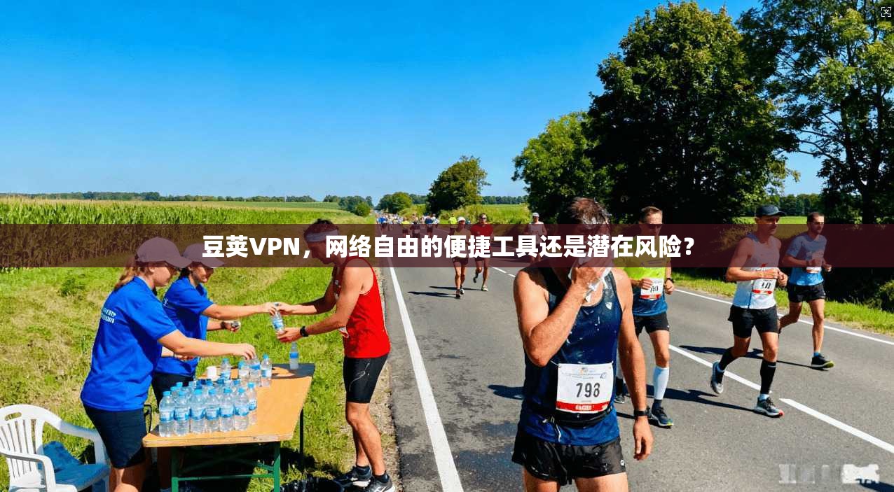 豆荚VPN，网络自由的便捷工具还是潜在风险？