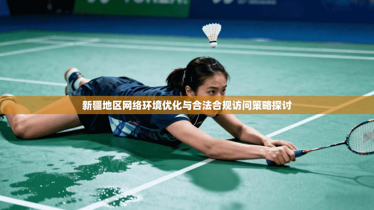 新疆地区网络环境优化与合法合规访问策略探讨