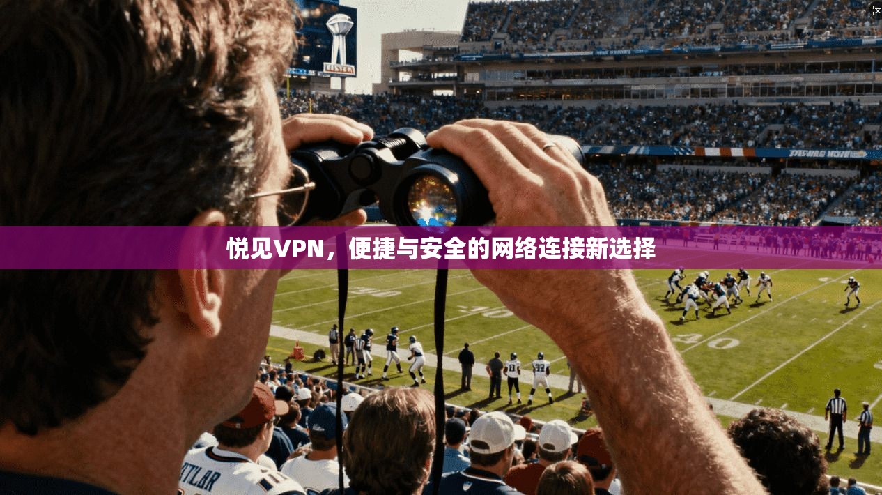 悦见VPN，便捷与安全的网络连接新选择